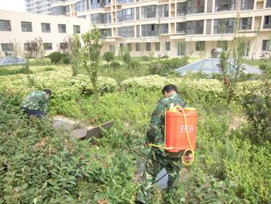 1545274938993173.jpg 1375668682.jpg